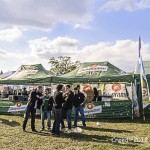 050 Kreans festival 